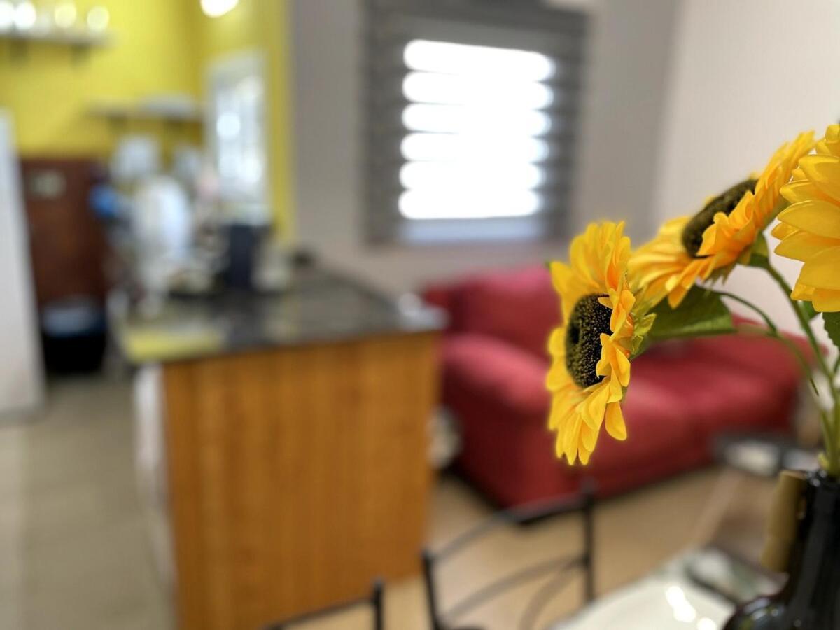 Unik Vacation Mediona Holiday home